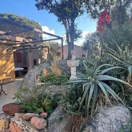 A Liccia Piscine 4pers Proche Et Port Ferienhaus Porto-Vecchio (Corsica)