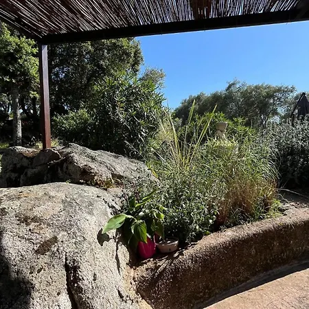 Ferienhaus A Liccia Piscine 4pers Proche Et Port Porto-Vecchio (Corsica)