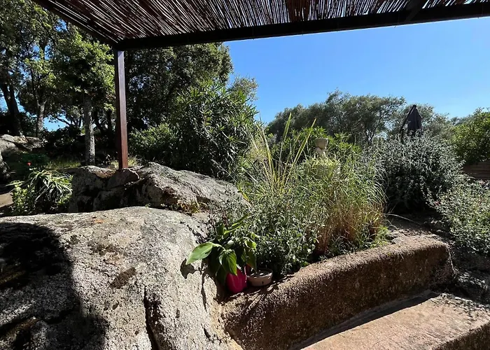 Hébergement de vacances A Liccia Piscine 4pers Proche Et Port Porto-Vecchio (Corsica)